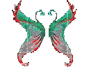 Wing of Illusion