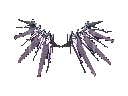 Wing of Ruin